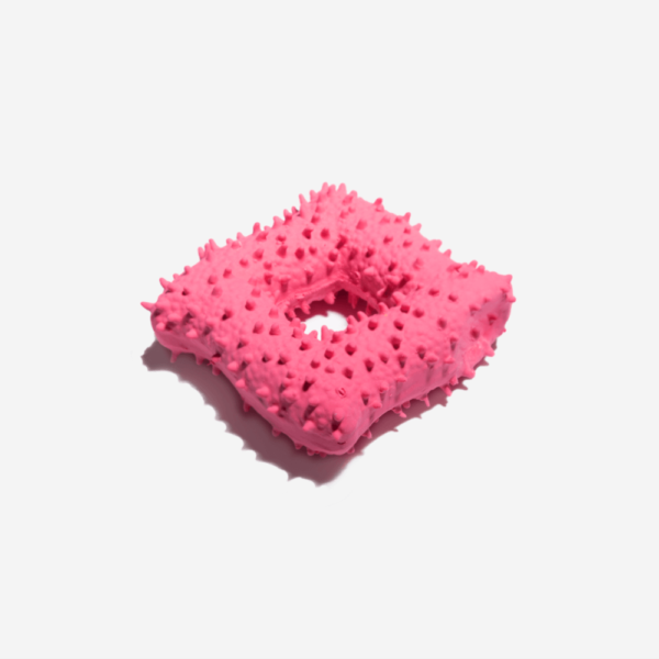 Cactus Shaped Squeaky Dog Toy - Image 4