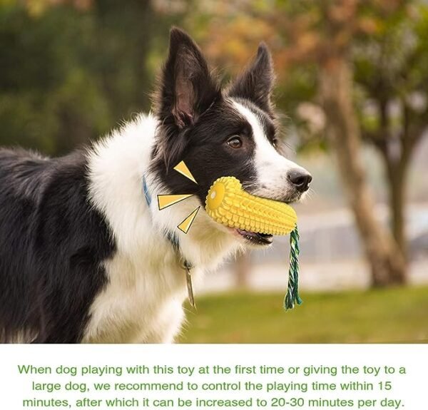Sturdy Dog Chew Toy for Persistent Chewers - Image 2