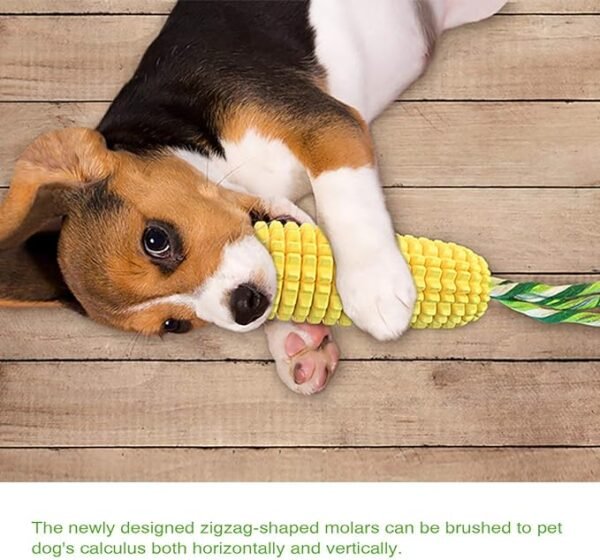 Sturdy Dog Chew Toy for Persistent Chewers - Image 3