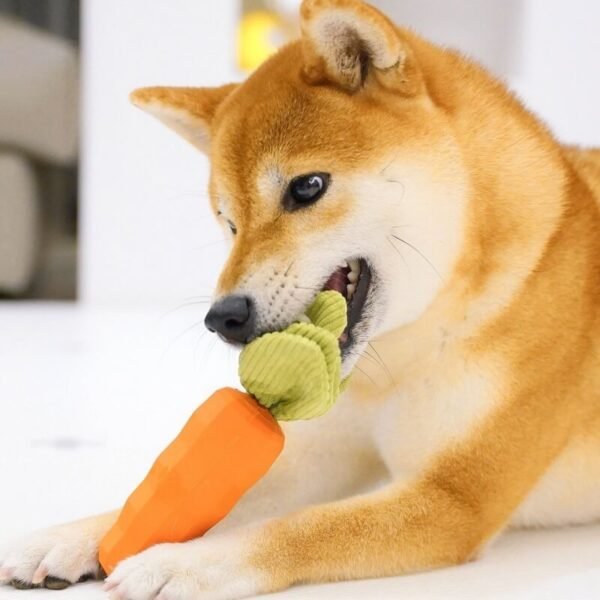 Carrot Squeaky Toy Durable Dog Chew Toy - Image 7
