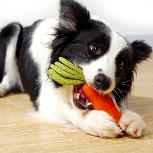 Carrot Squeaky Toy Durable Dog Chew Toy - Image 3
