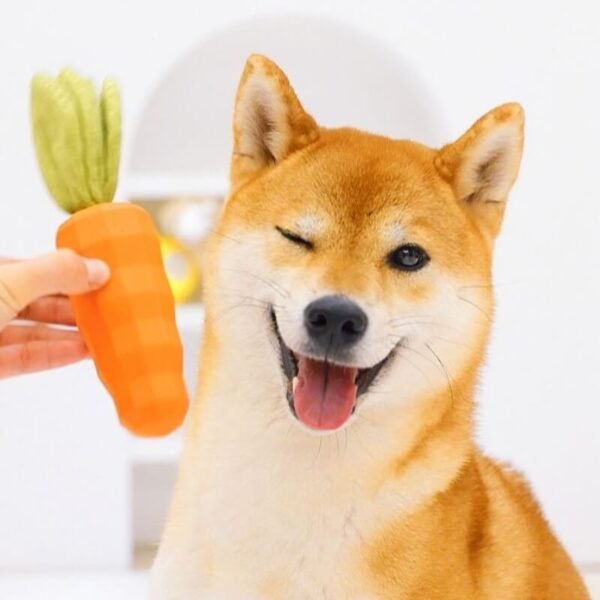 Carrot Squeaky Toy Durable Dog Chew Toy - Image 10