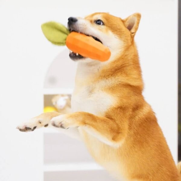 Carrot Squeaky Toy Durable Dog Chew Toy - Image 5