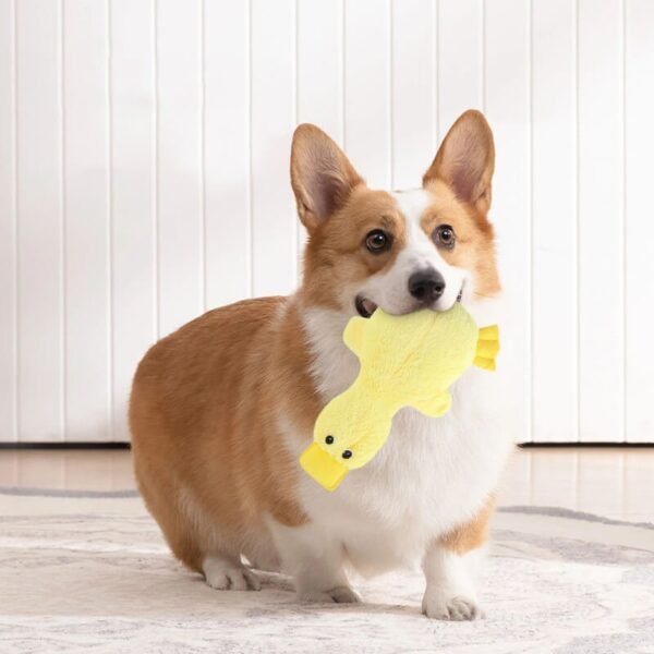 Cute Duck Plush Toy With Squeaker Dog Chew Toy - Image 3