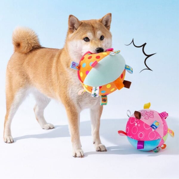 Cute Embroidered Squeaky Ball Interactive Dog Toys - Image 2