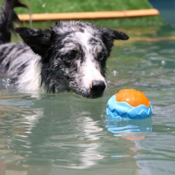 Dog Interactive Chew Toy Outdoor Floating Water Toy - Image 3