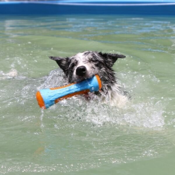 Dog Interactive Chew Toy Outdoor Floating Water Toy - Image 2