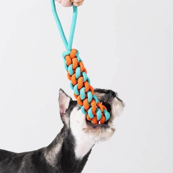 Braided Rope Stick Tug Dog Toy - Color Clash - Image 2