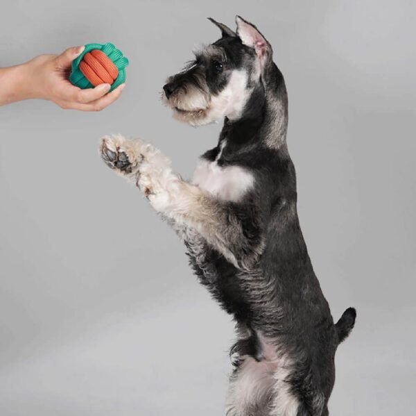 Dog Toy Gift Basket Set | Squeaky Chew Plush Treats Throw Interactive Toys - Image 8