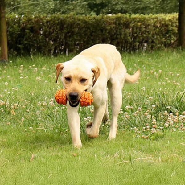 Dumbbell Silicone Slow Feeder Durable Interactive Dog Toy - Image 5