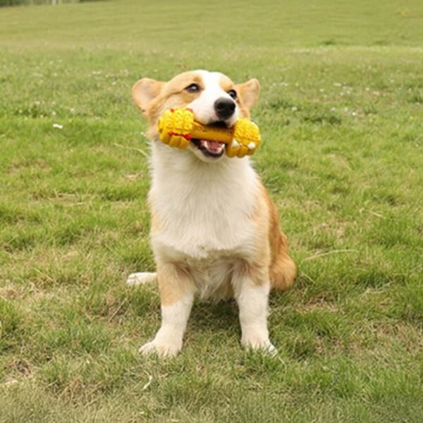 Dumbbell Silicone Slow Feeder Durable Interactive Dog Toy - Image 6