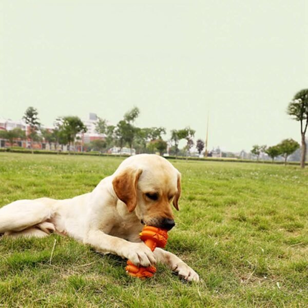 Dumbbell Silicone Slow Feeder Durable Interactive Dog Toy - Image 7