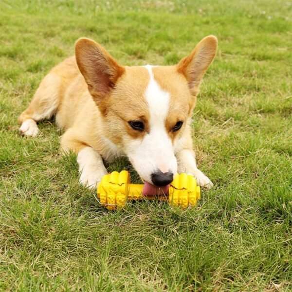 Dumbbell Silicone Slow Feeder Durable Interactive Dog Toy - Image 9