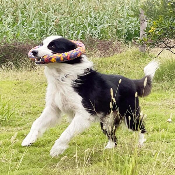 Durable Camo Dog Toy Chew-Resistant Rope Floating Water Toy Series - Image 4