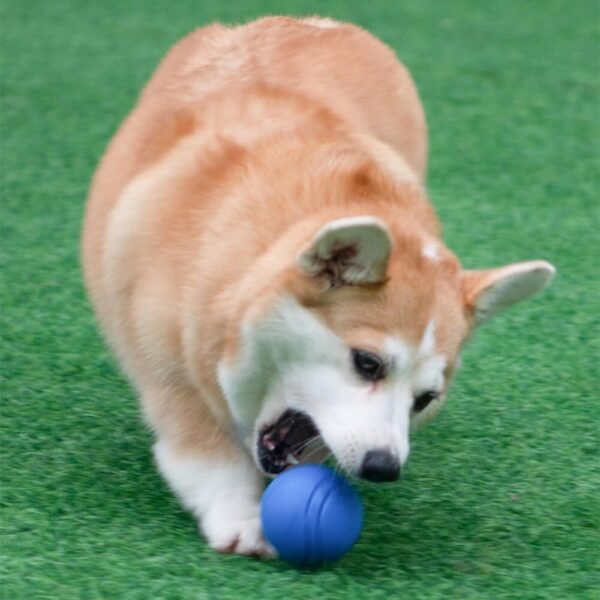 Elastic Squeaky Ball Toy Floating Water Ball Dog Chew Toy - Image 4