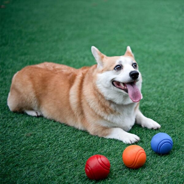 Elastic Squeaky Ball Toy Floating Water Ball Dog Chew Toy - Image 2