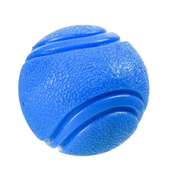 Elastic Squeaky Ball Toy Floating Water Ball Dog Chew Toy - Image 11