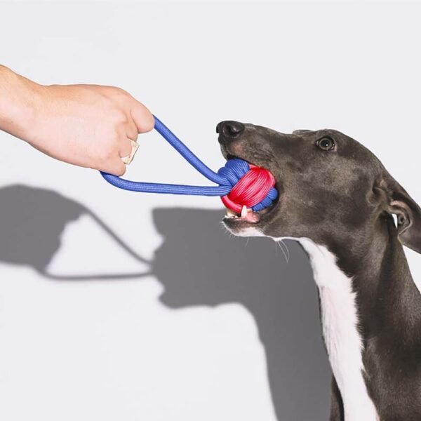 Dog Toy Gift Basket Set | Squeaky Chew Plush Treats Throw Interactive Toys - Image 10