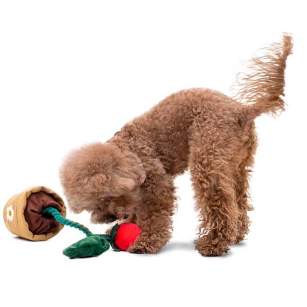 Dog Toy Gift Basket Set | Squeaky Chew Plush Treats Throw Interactive Toys - Image 6