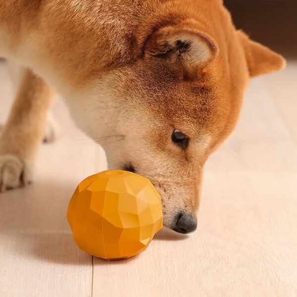 Fruit Shaped Treat Dog Toy - Image 2