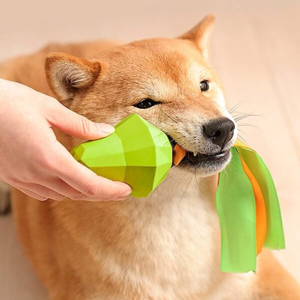 Fruit Squeaky Chew Dog Toy - Image 5