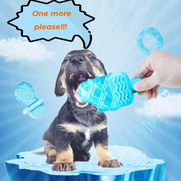 Cooling Rubber Water-filled Ice Lolly Dog Teething Toy - Image 2