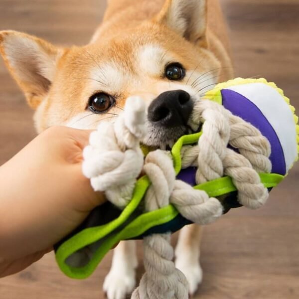 Cotton Rope Slipper Toy Dog Teething Toy - Image 2