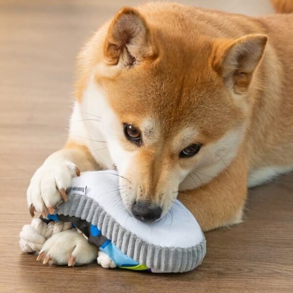 Cotton Rope Slipper Toy Dog Teething Toy - Image 3