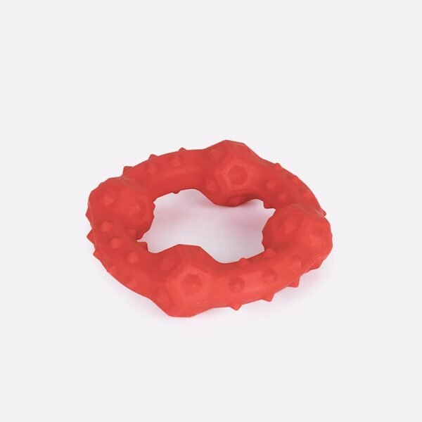 Dog Interactive Squeaky Toy Teething Chew Toy - Image 13