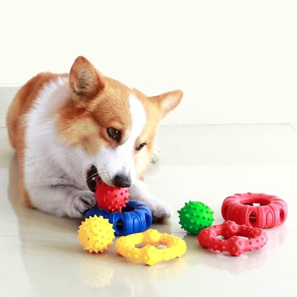 Dog Interactive Squeaky Toy Teething Chew Toy - Image 2
