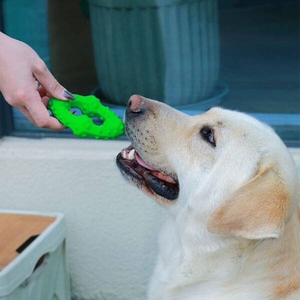 Dog Interactive Squeaky Toy Teething Chew Toy - Image 4