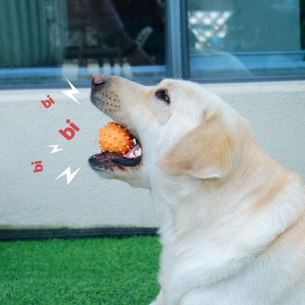 Dog Interactive Squeaky Toy Teething Chew Toy - Image 3