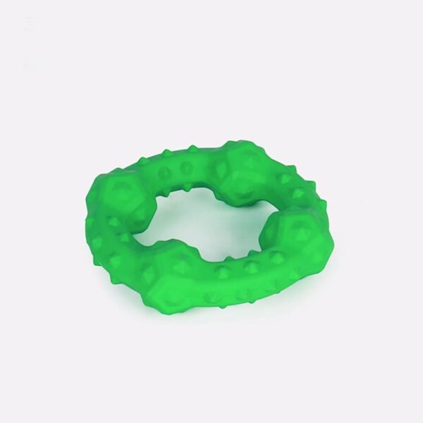 Dog Interactive Squeaky Toy Teething Chew Toy - Image 12