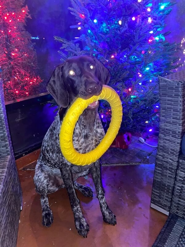 Dog Toys for Aggressive Chewers,Flying Ring for Dog Training,Chewing Cathing Form Toys - Image 4