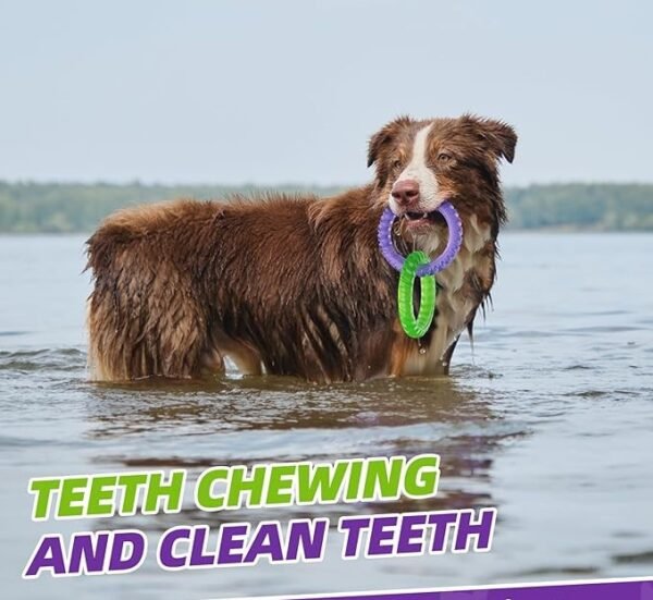 2-Ring Tug Toy Training Teething Interactive Dog Toy Chewer - Image 4