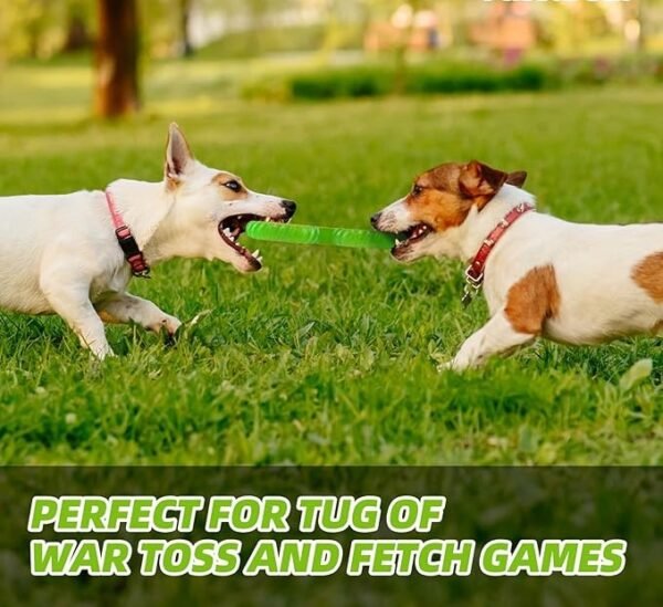 DGT Teething Training Dog Toy for Aggressive Chewers,(Green) - Image 2