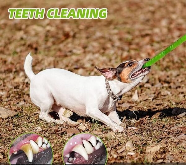 DGT Teething Training Dog Toy for Aggressive Chewers,(Green) - Image 4